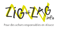 logo_zigzag